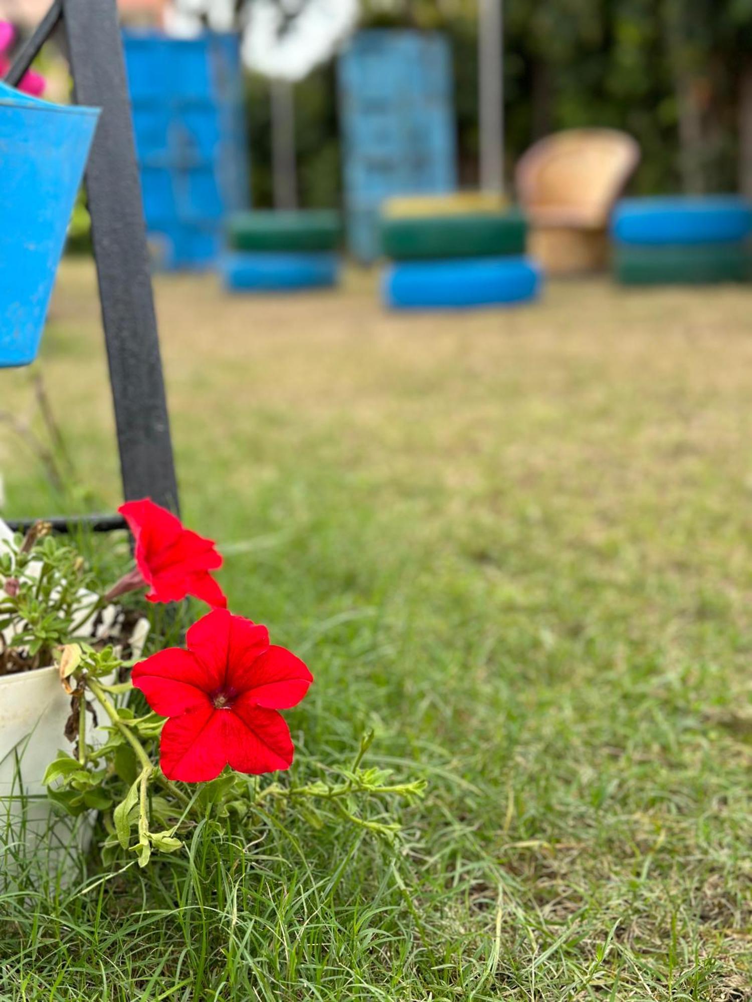 Homestay The Rukmani & Garden